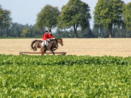 394424_10151090365693585_24118402_n